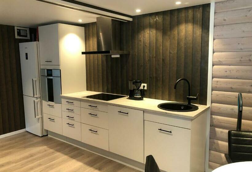 بنسيون Jolster Sauna Apartments