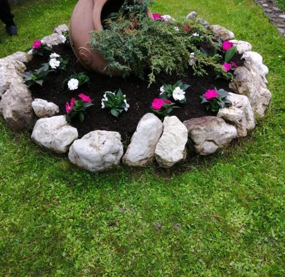 Pension Raza Soarelui