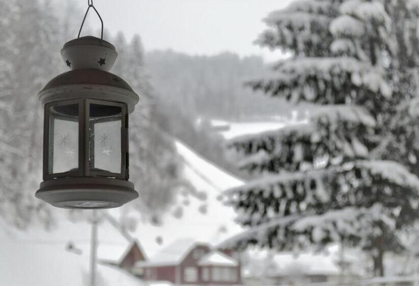 Pension Raza Soarelui