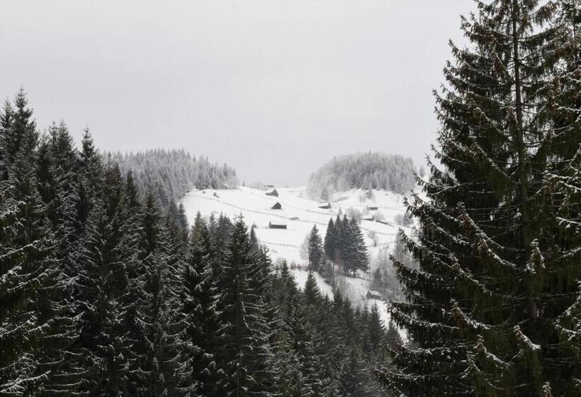 Pension Raza Soarelui