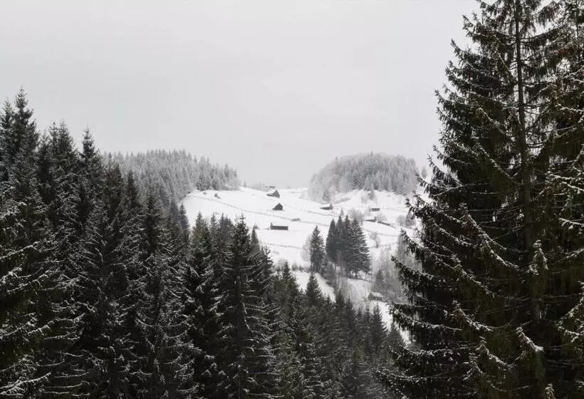 Majatalo Raza Soarelui