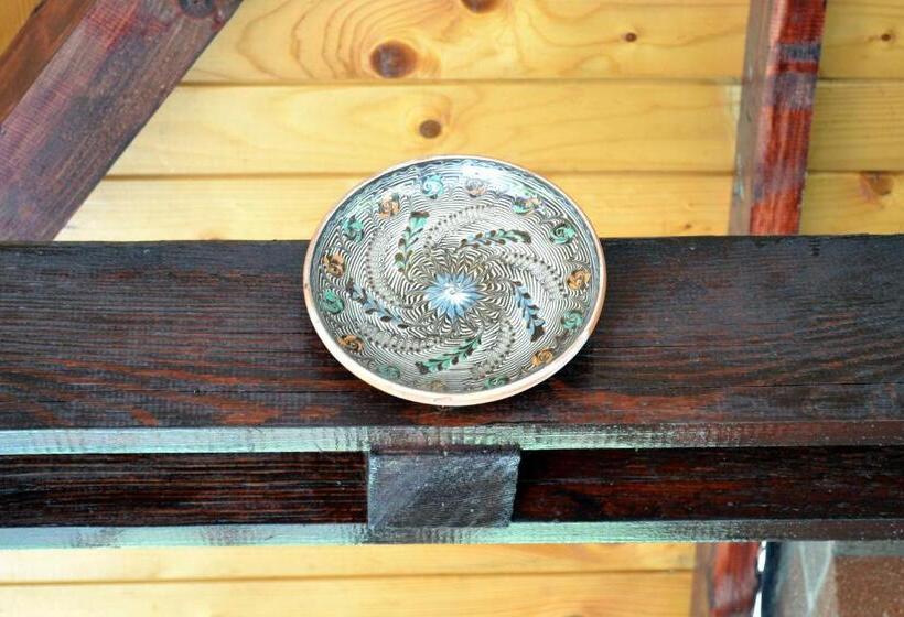 Pension Raza Soarelui