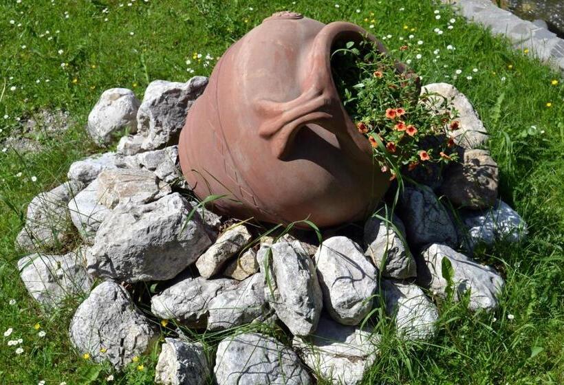 Pension Raza Soarelui