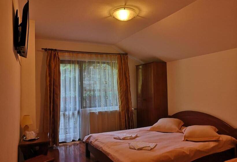 Pension Raza Soarelui