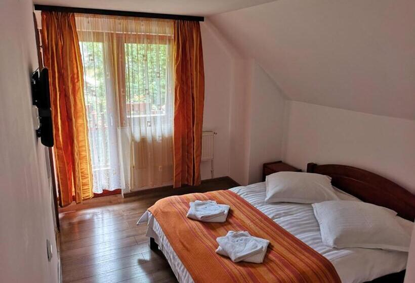 Pension Raza Soarelui