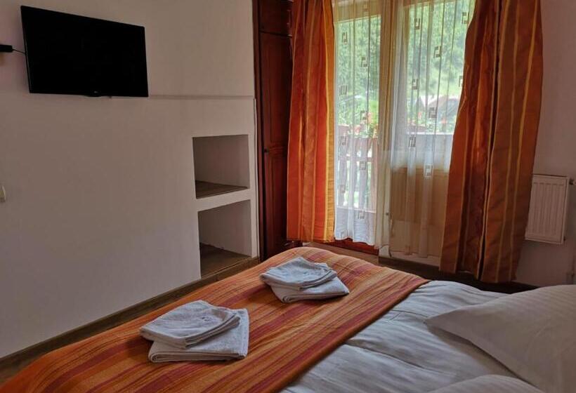 Pension Raza Soarelui