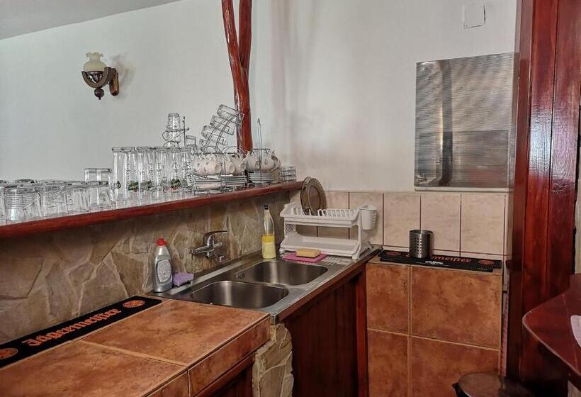 Pension Raza Soarelui