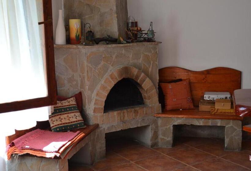 Pension Raza Soarelui