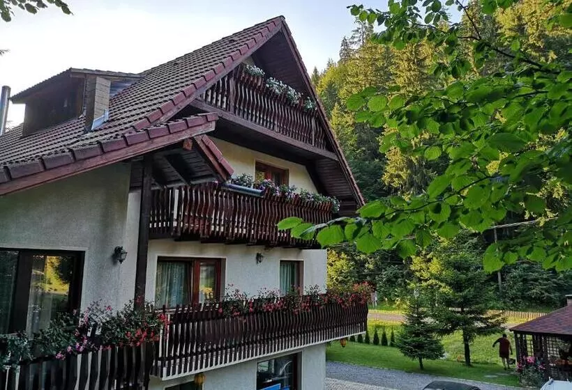 Majatalo Raza Soarelui