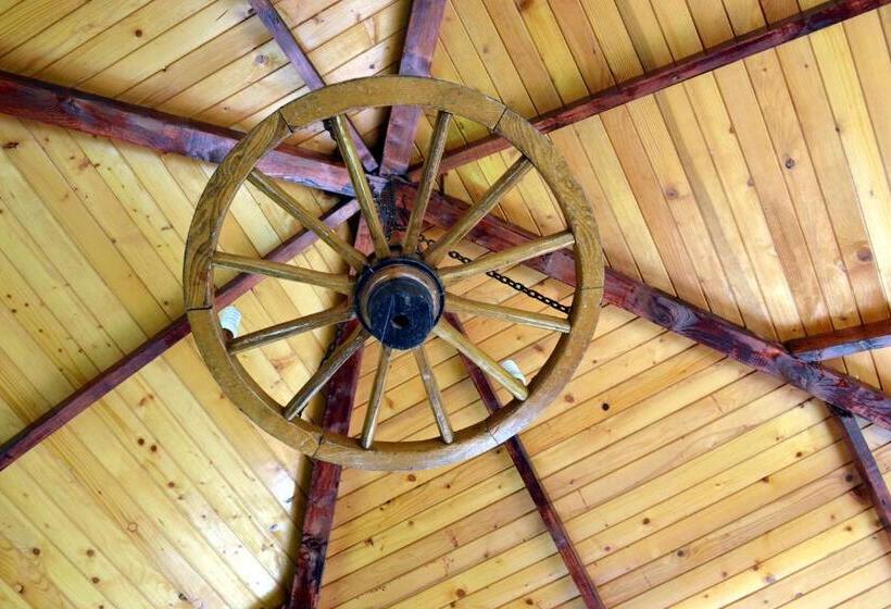 Pension Raza Soarelui