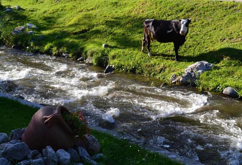 Pension Raza Soarelui