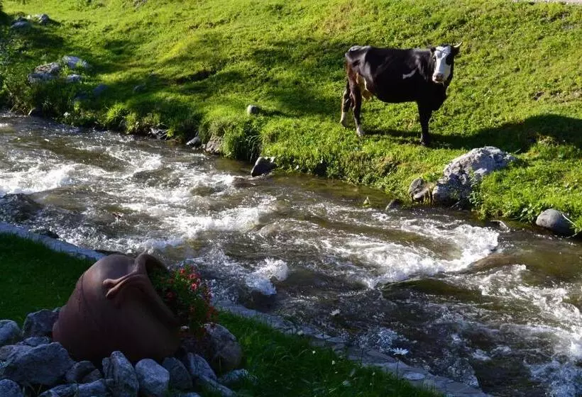 Majatalo Raza Soarelui