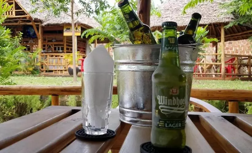تختخواب و صبحانه Aivlys Lodge Kilimanjaro