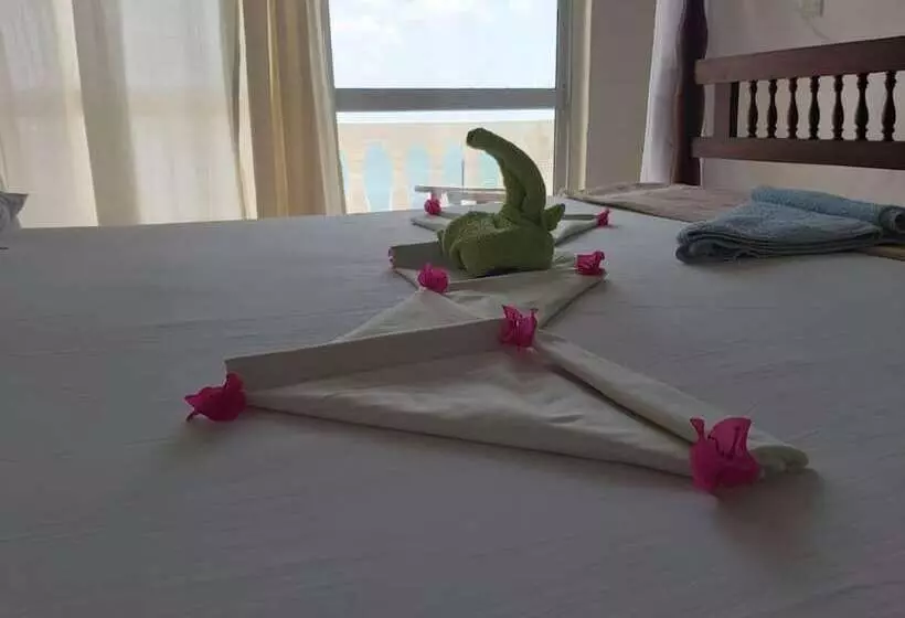 تختخواب و صبحانه Shela Bahari