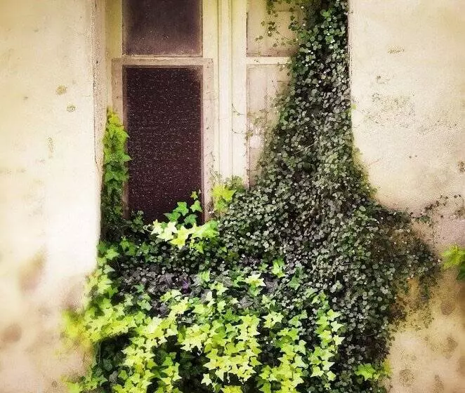 Casa De Ajala   B&b De Charme In Antica Dimora Totalmente Ristrutturata E Dotata Di Tutti I Confort