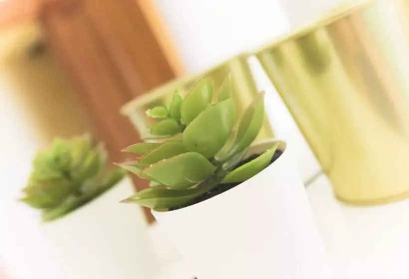 Casa De Ajala   B&b De Charme In Antica Dimora Totalmente Ristrutturata E Dotata Di Tutti I Confort