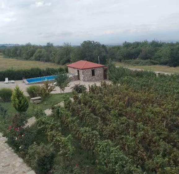 هتل Chateau Tetri Bairagebi White Flags