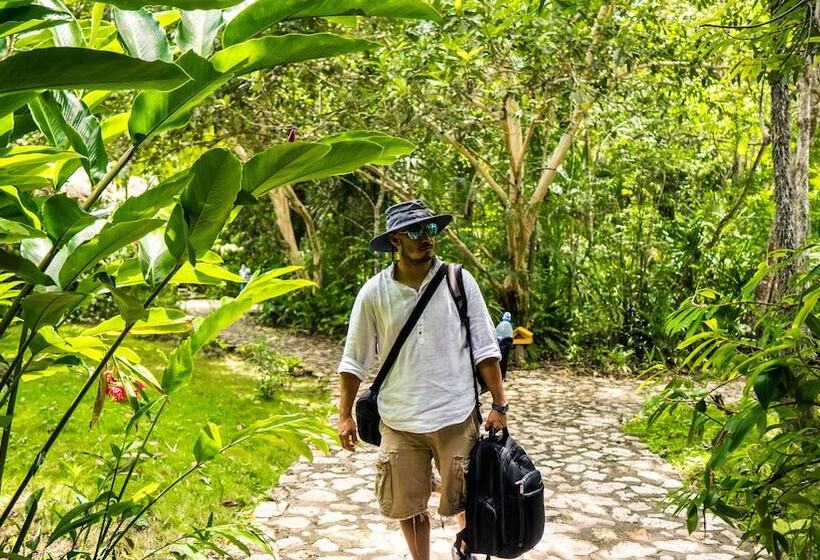 هتل Jungle Lodge Tikal Hostal