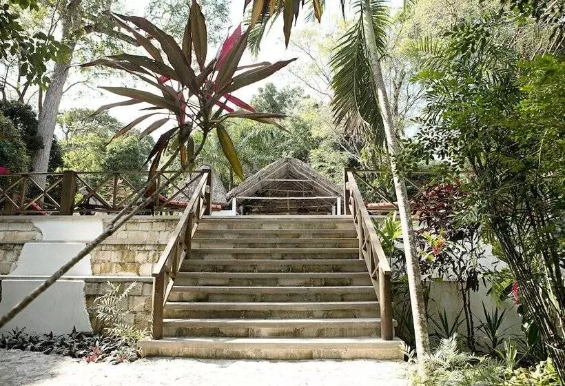 هتل Jungle Lodge Tikal Hostal