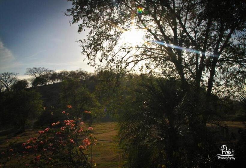 Пансион Finca Pamel