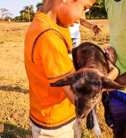 Пансион Finca Pamel