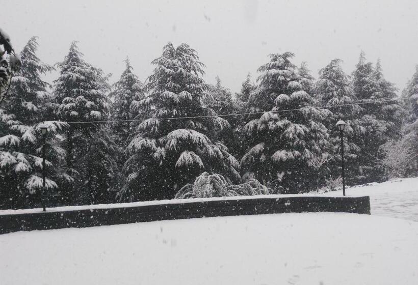 منتجع Woodsmoke Retreat