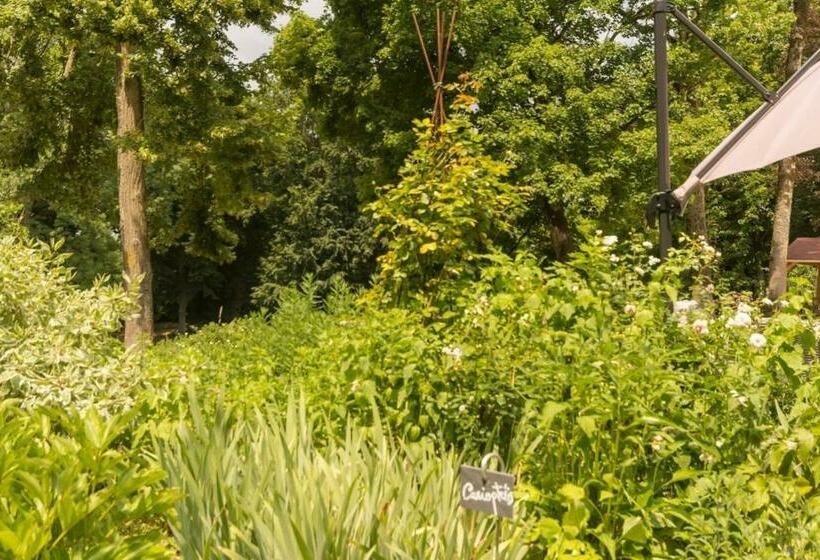 ベッドアンドブレックファースト Manderley