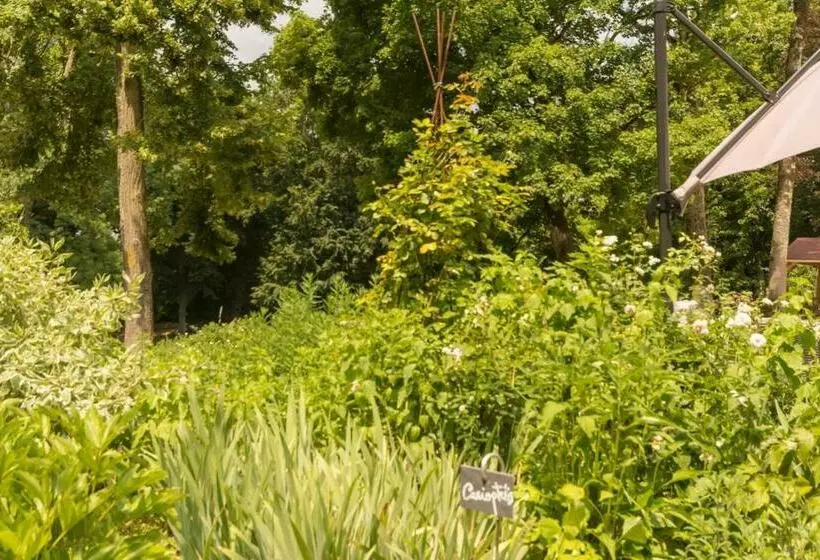 Aamiaismajoitus (B&B) Manderley