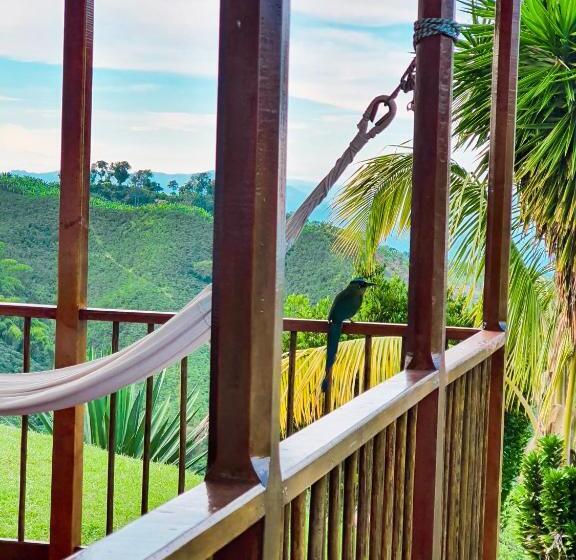 Hotel Hacienda La Mesa   Coffee Farm