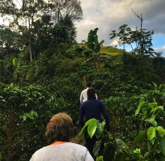 Hotelli Hacienda La Mesa Coffee Farm