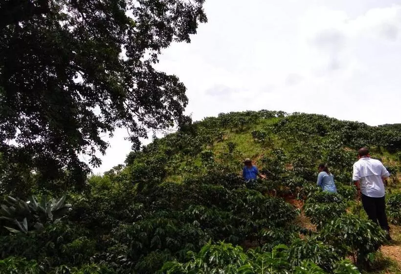 Hotelli Hacienda La Mesa Coffee Farm