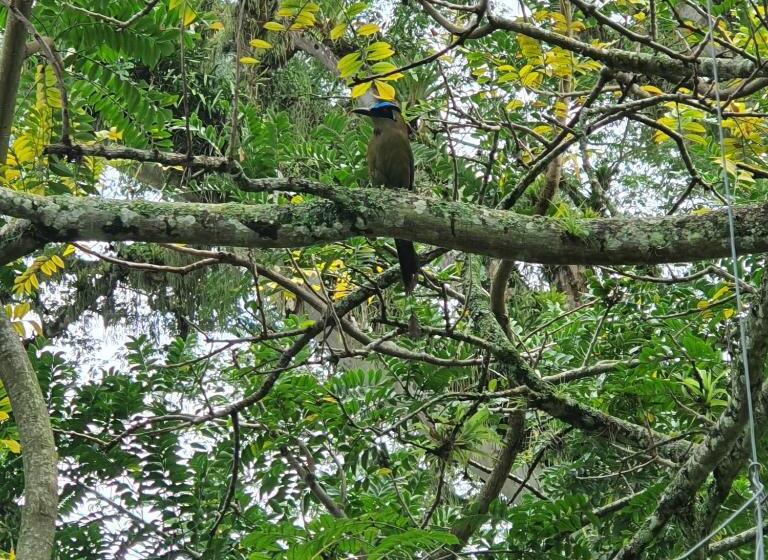 Hotel Hacienda La Mesa   Coffee Farm