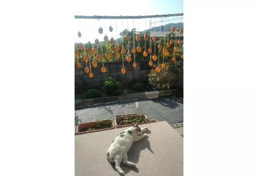 ペンション Guesthouse Farmor   Vacation Stay 15083v