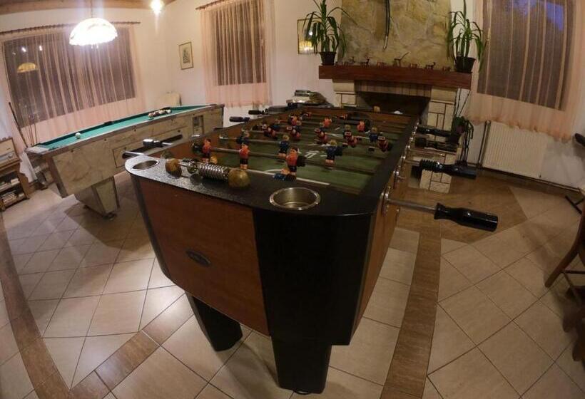 پانسیون Vila Jovanka Zlatibor