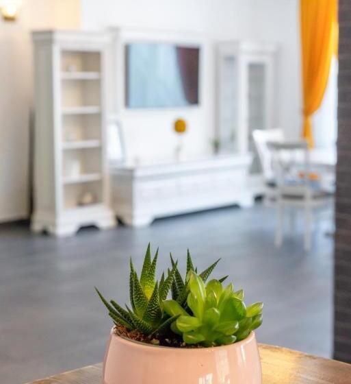 بنسيون Vila Mesteacanul