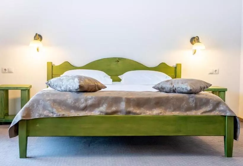 ペンション Vila Mesteacanul