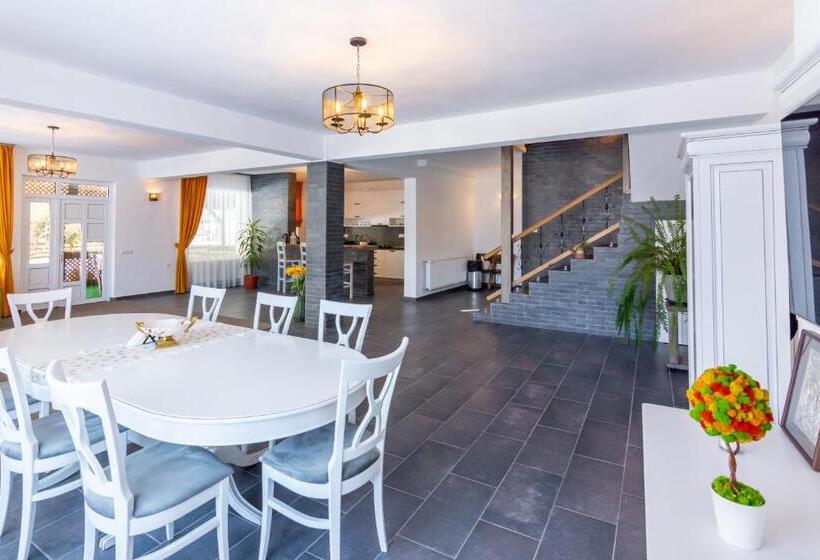 بنسيون Vila Mesteacanul