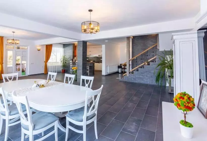 ペンション Vila Mesteacanul