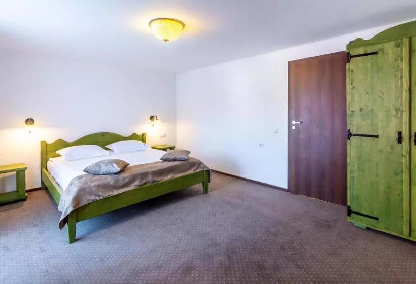 ペンション Vila Mesteacanul