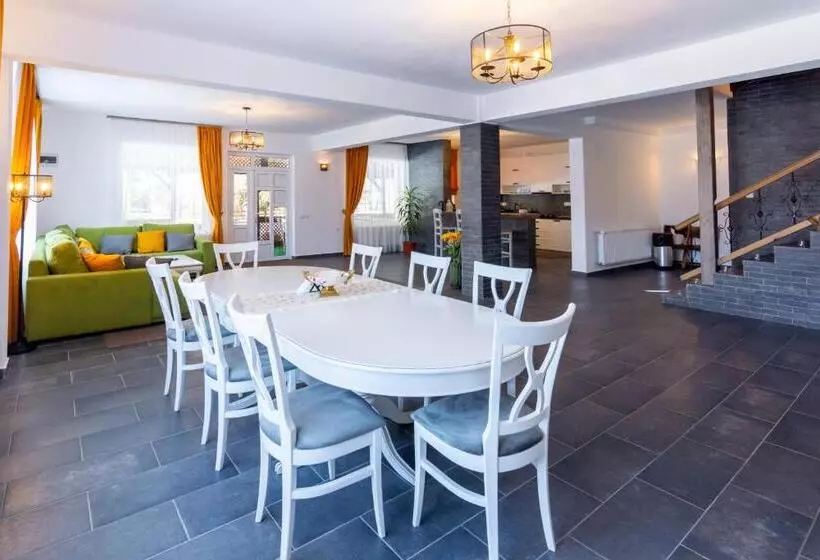 ペンション Vila Mesteacanul