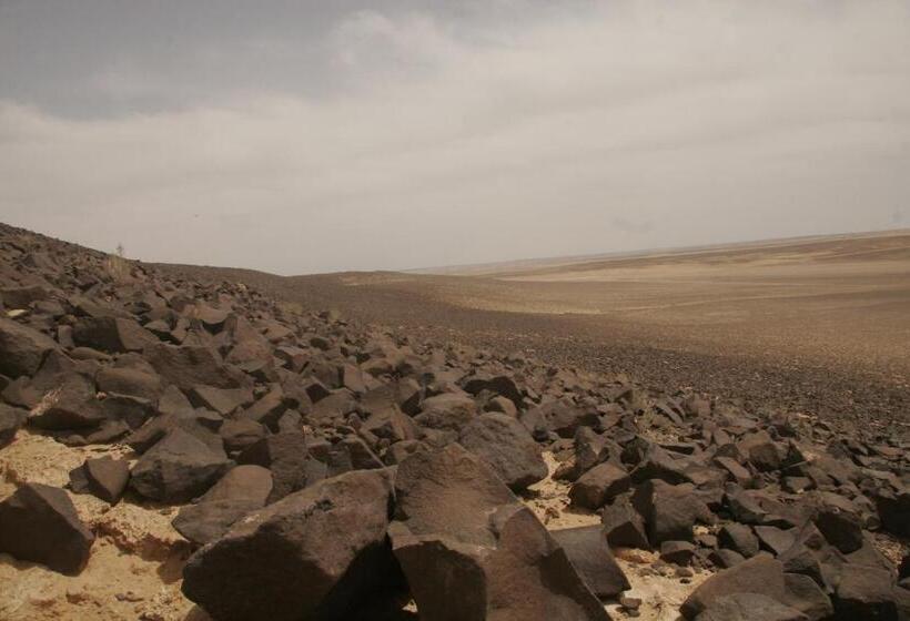 هاستل St.jadoor Inn