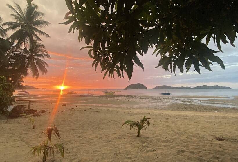 Amila Dive Beach Resort