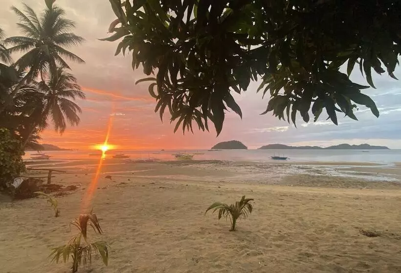 Amila Dive Beach Resort