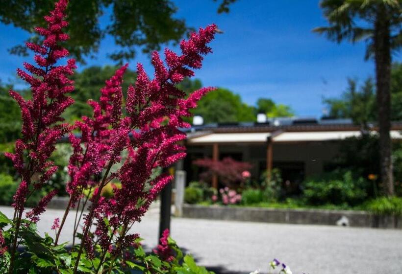 צימר Bed&breakfast Tabine