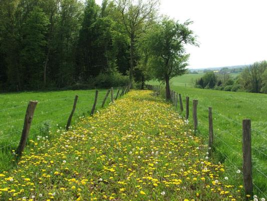 צימר Grange Rousselin