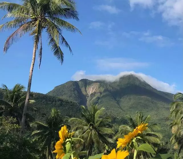 ペンション Shrivasta Cottages