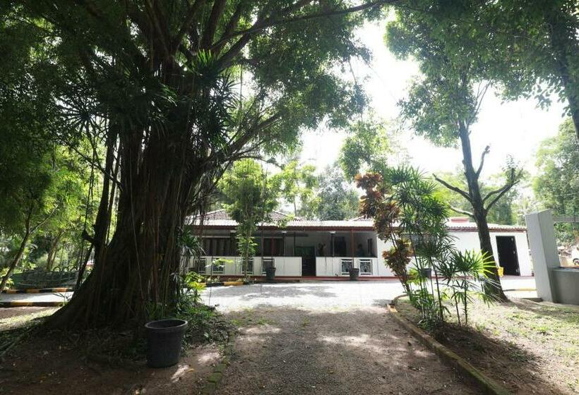 פנסיון Wewagedara Green Resort