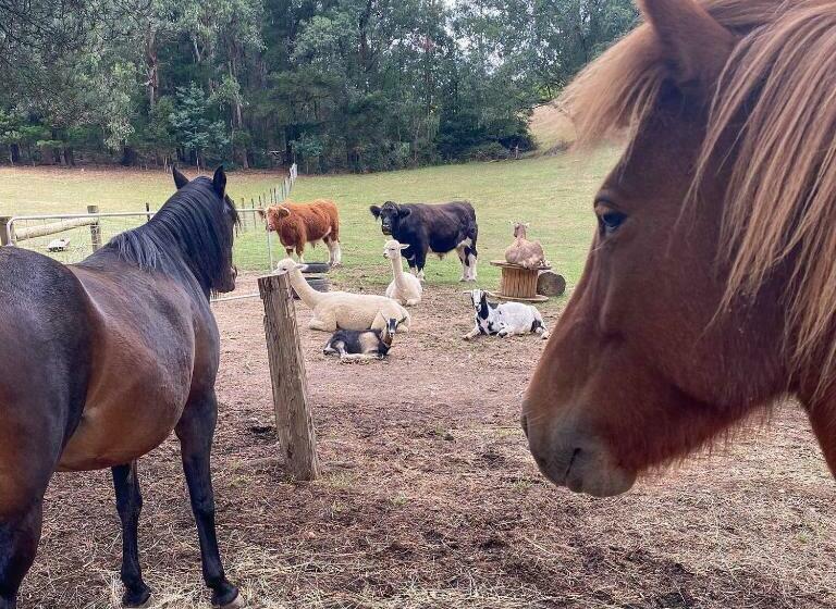 ホテル Nurture Creek