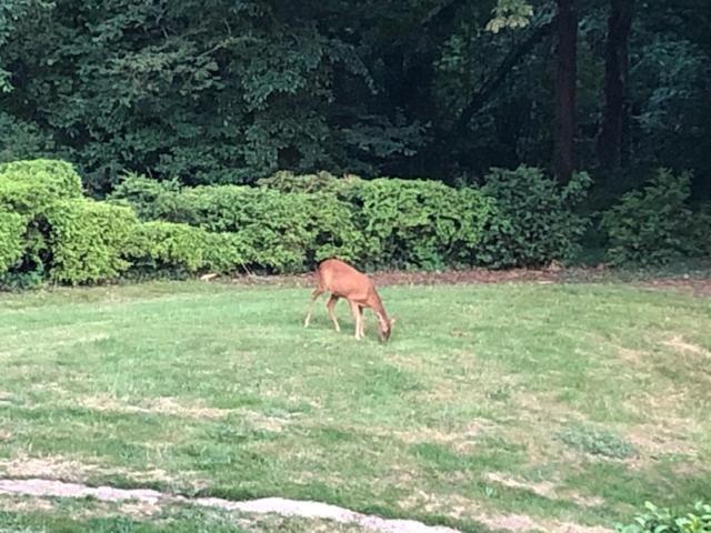 פנסיון Domaine De Macque, Betz, 25 Mns Roissy Cdg