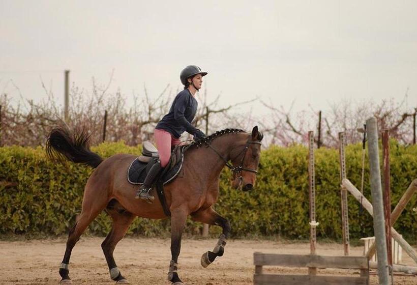 פנסיון Don Pietro Vacanze